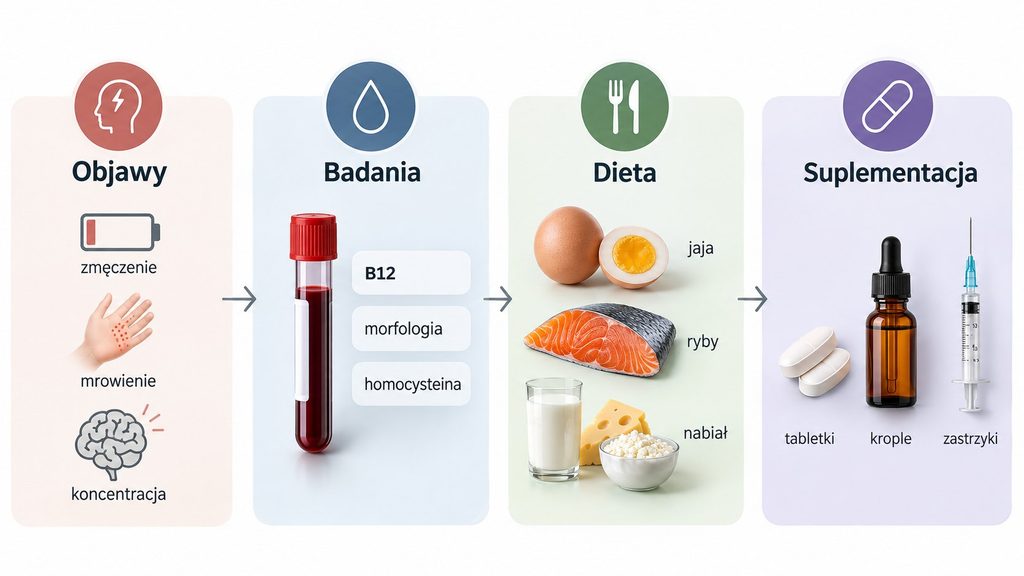 Witamina B12 — objawy niedoboru, badania, źródła w diecie i suplementacja